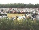 290503 kjeld2