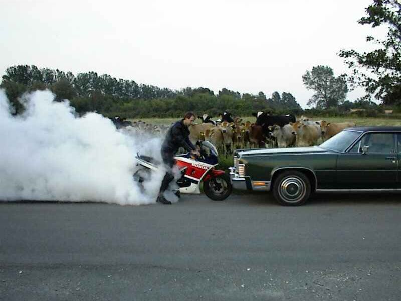 290503 brander2