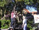 040611 cimg1205